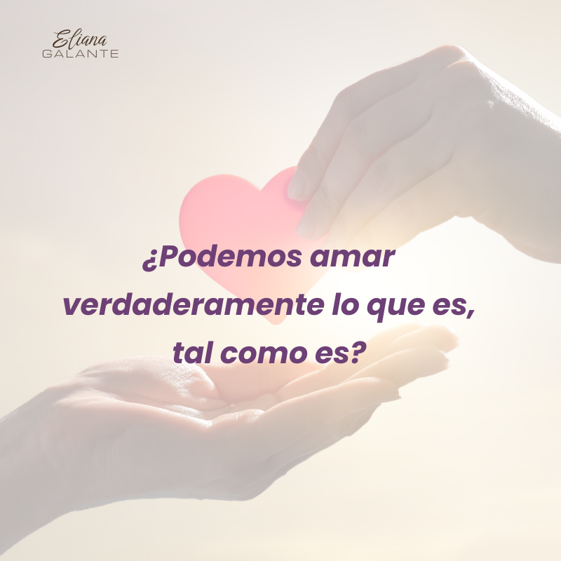 fotos para talleres (11)