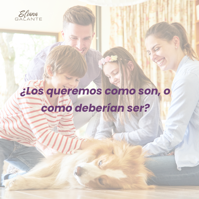 fotos para talleres (7)